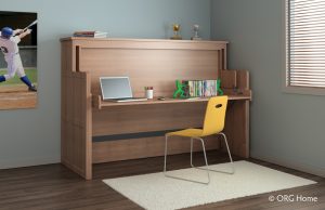 custom desk with murphy bed